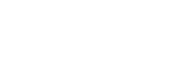 Logo_disy_neg